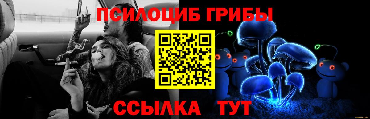 Псилоцибиновые грибы MAGIC MUSHROOMS  Вход с VPN  Галлюциногенные грибы мухоморы  Удомля 