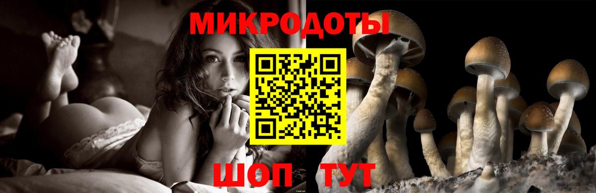 Галлюциногенные грибы ЛСД Удомля